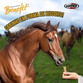 Kit Combo 06 Pacotes Petisco Biscoito Cavalo Benefit Supra